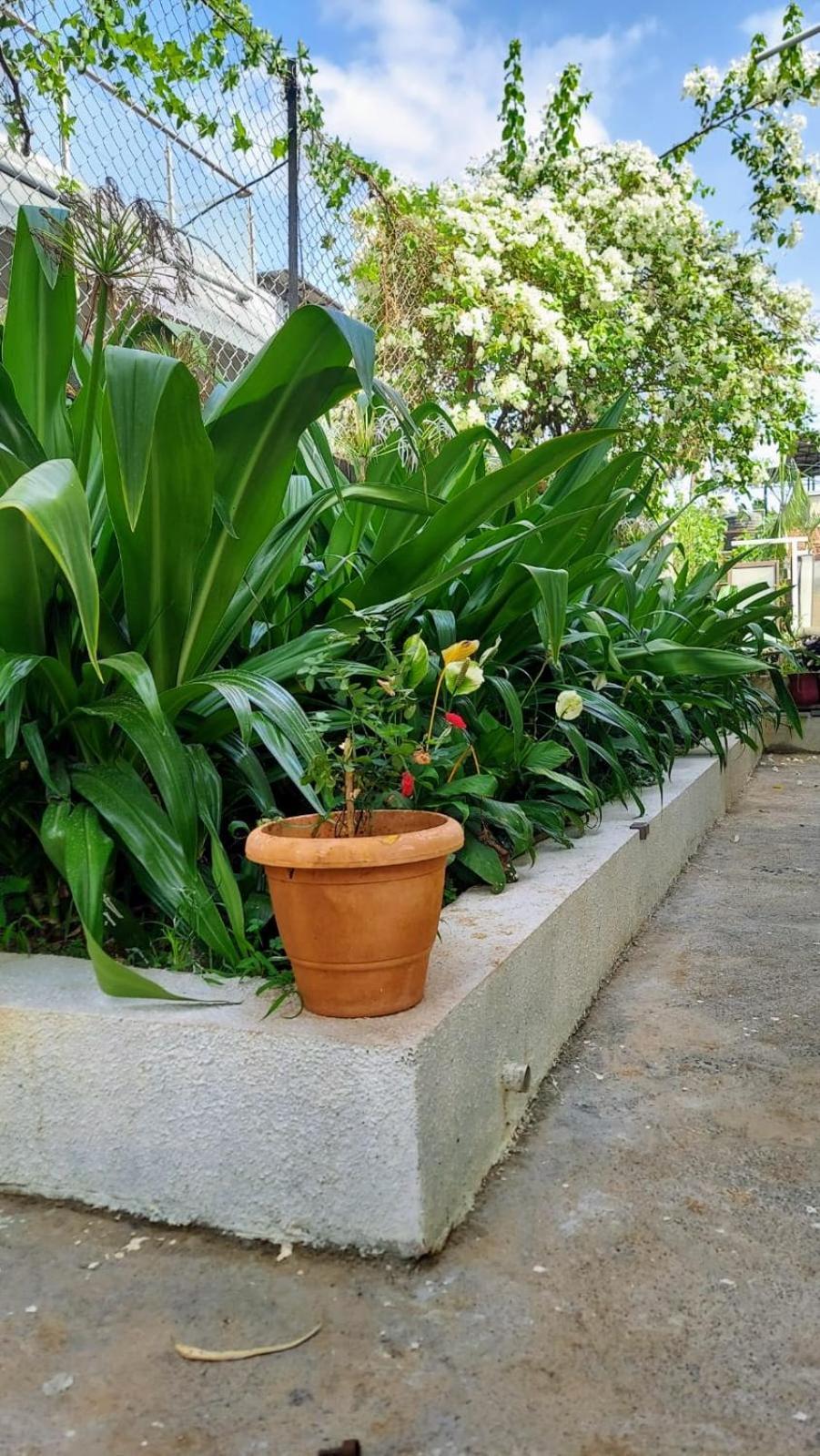Lonavala Francis Villa Exclusive 4-Bedroom Family Retreat With Pool Esterno foto
